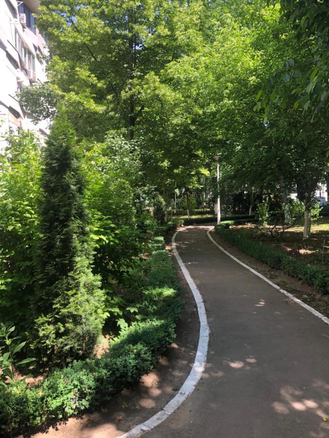Laguna Apartament Brăila المظهر الخارجي الصورة